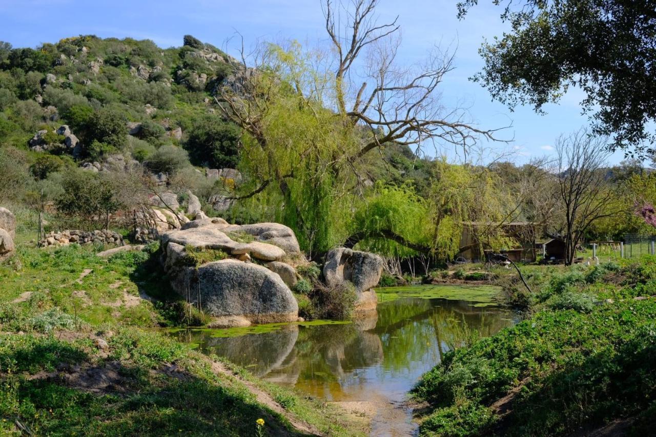 Il Nuraghe del lago Coghinas Oschiri Esterno foto