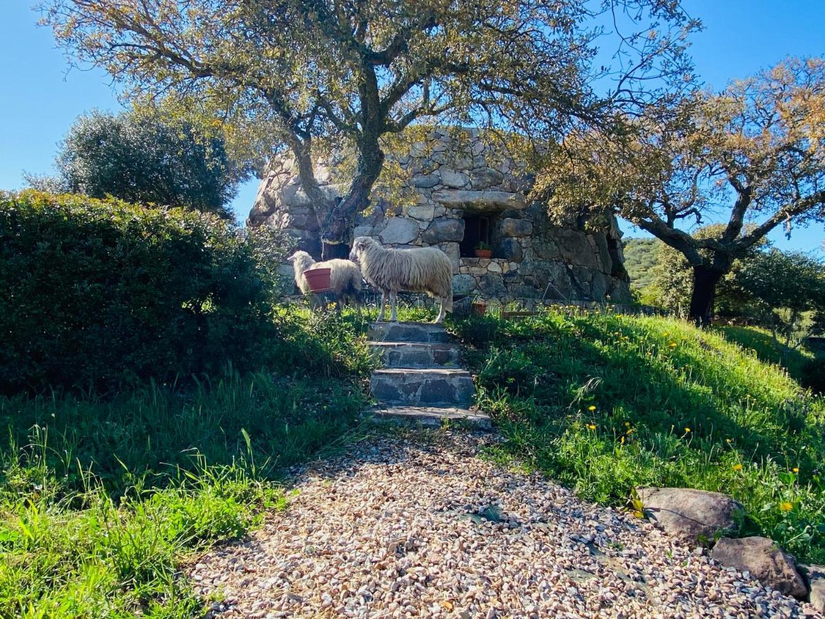 Il Nuraghe del lago Coghinas Oschiri Esterno foto