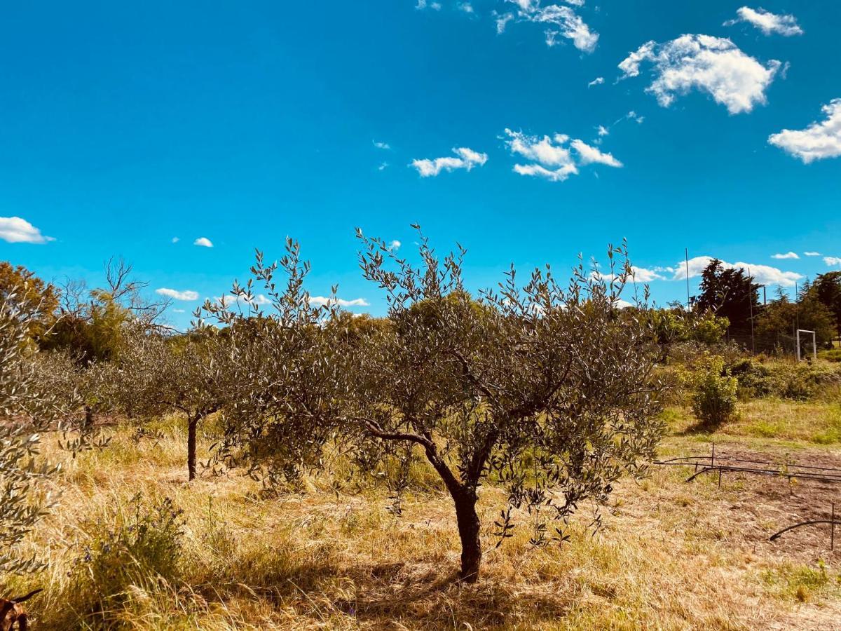 Il Nuraghe del lago Coghinas Oschiri Esterno foto