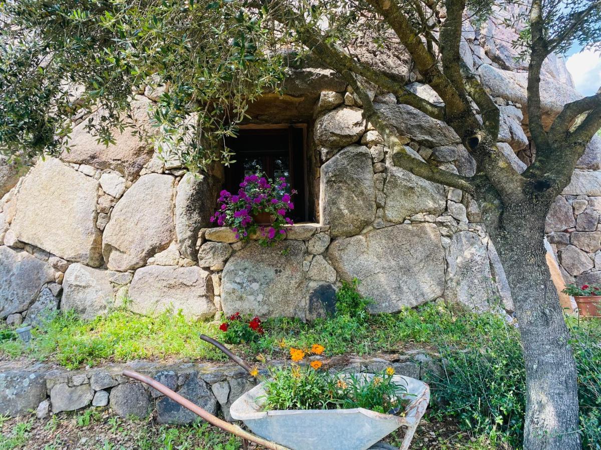 Il Nuraghe del lago Coghinas Oschiri Esterno foto