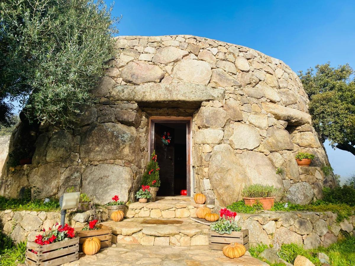 Il Nuraghe del lago Coghinas Oschiri Esterno foto