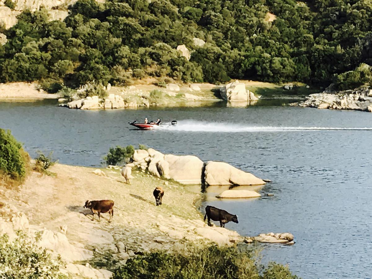 Il Nuraghe del lago Coghinas Oschiri Esterno foto